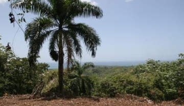 Panoramic sea-view plot