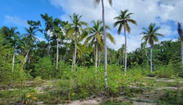 Nearby Coson y Bonita Lands